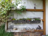 P1070823Terrassenbepflanzung.webp