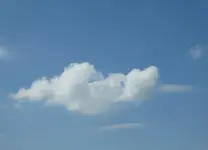 015.webp