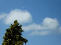 016.webp