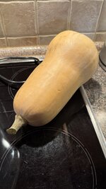 IMG_4240.jpeg