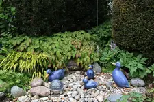 Mai       3625.webp