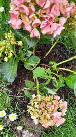 IMG_20250509_164004180.jpg