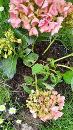 IMG_20250509_164004180.webp
