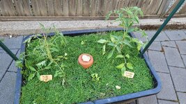 20250509_190341.jpg