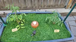 20250509_190335.webp