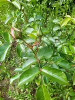 IMG_20250508_121031.webp