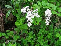 IMG_20250503_103635.webp