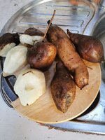IMG_20250509_182816.jpg