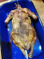 IMG_20250509_191250.jpg