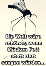 spassbild1.jpg
