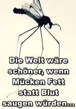 spassbild1.webp