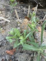 IMG_8805.jpeg