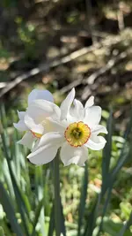 IMG_4252.jpeg
