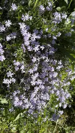 IMG_4250.jpeg
