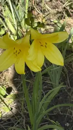IMG_4257.jpeg