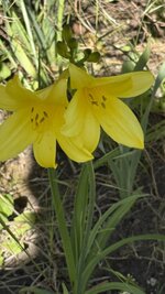 IMG_4257.jpeg