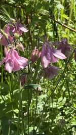 IMG_4261.jpeg