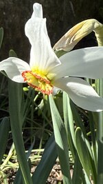 IMG_4255.jpeg