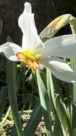 IMG_4255.jpeg