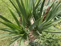 1746906930037.webp