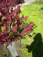 IMG-20250510-WA0010.webp