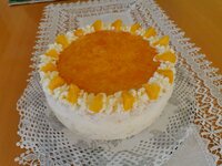 IMG_20250511_091237.jpg