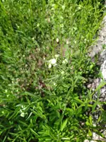 IMG_20250511_111515.webp