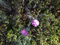 IMG_20250511_111958_1.jpg