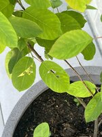 IMG_8680.jpeg