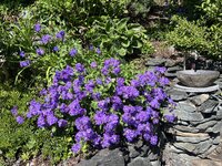 IMG_8502.jpeg