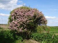 DSC03776.JPG