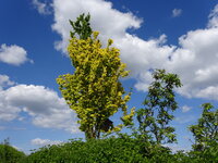 DSC03777.JPG