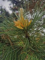 IMG_20250504_165343.jpg