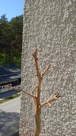 IMG_20250512_145921.jpg