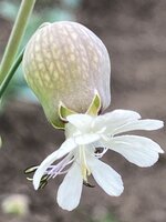 IMG_6263.JPG