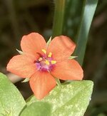 IMG_6496.jpeg
