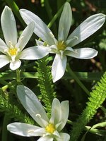 IMG_6302.jpeg