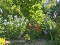 IMG_8525.jpeg