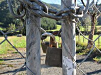 IMG_0776v (1).JPG
