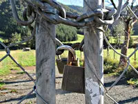 IMG_0776v (1).webp