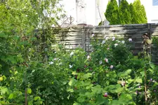 _MG_9202.webp
