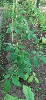 20250514_190120.webp