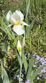 IMG_4281.jpeg