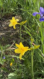 IMG_4285.jpeg