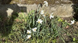 IMG_4286.jpeg