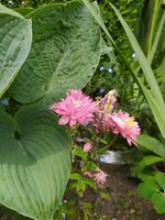 IMG_20250515_135041.jpg