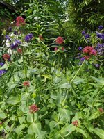 IMG_20250515_135015.jpg