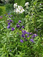 IMG_20250515_135001.jpg