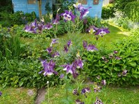 IMG_20250515_134738.jpg