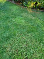 20250515_200310.jpg